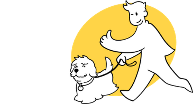 More safety and connection for people and dogs